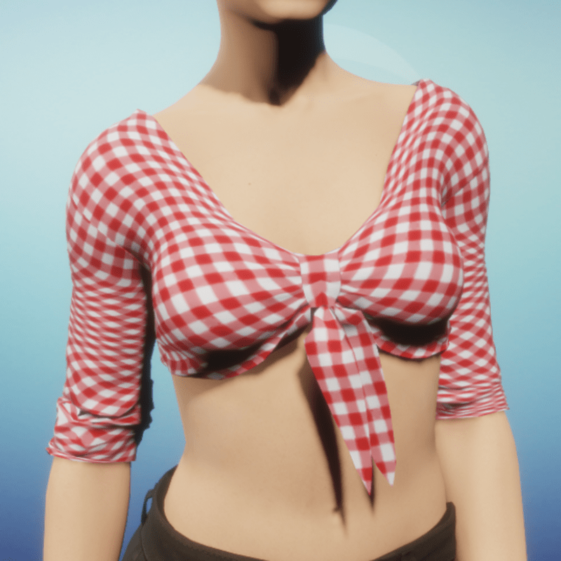 Red Gingham Tied Crop Top