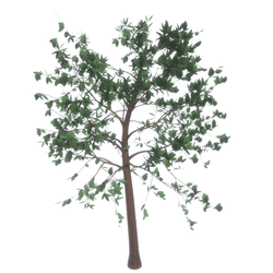 TREE (Uncarded V1)