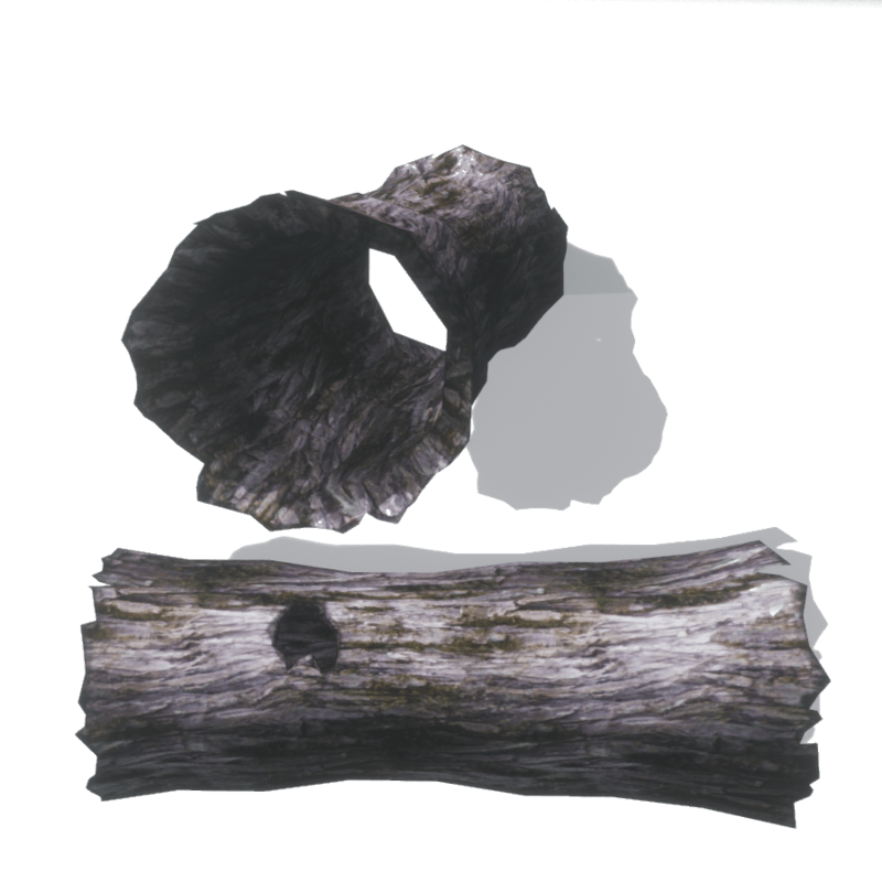 Hollow Tree Tunnel-Bridge