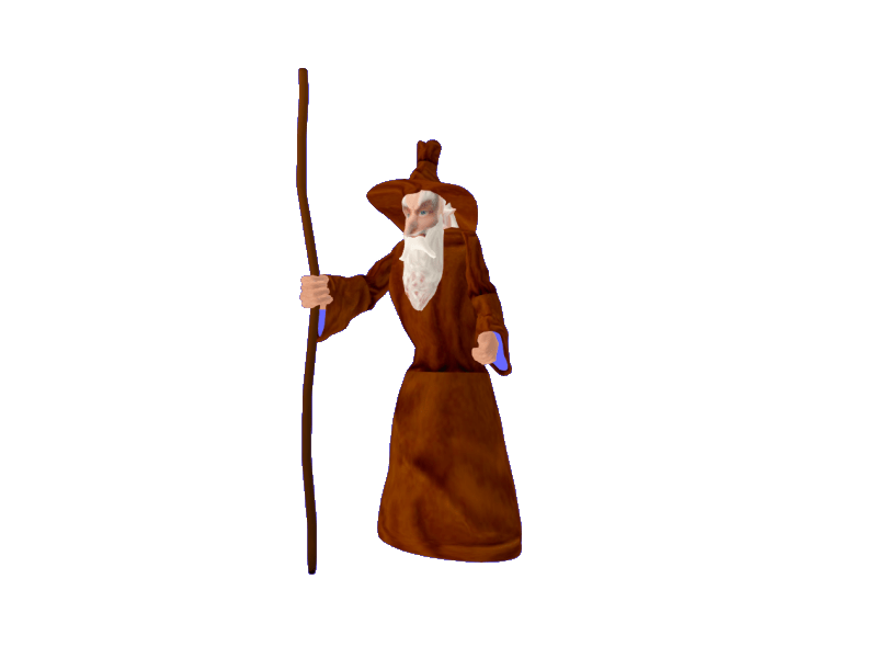 Wizard from the Magic Forest