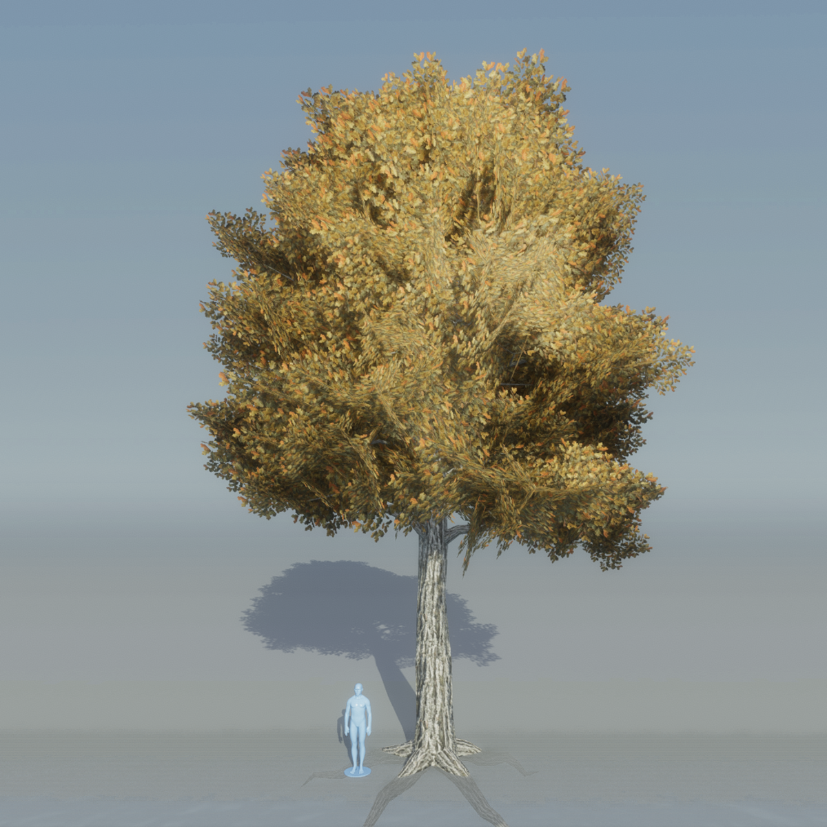 Oak Tree 3 with roots (brown)