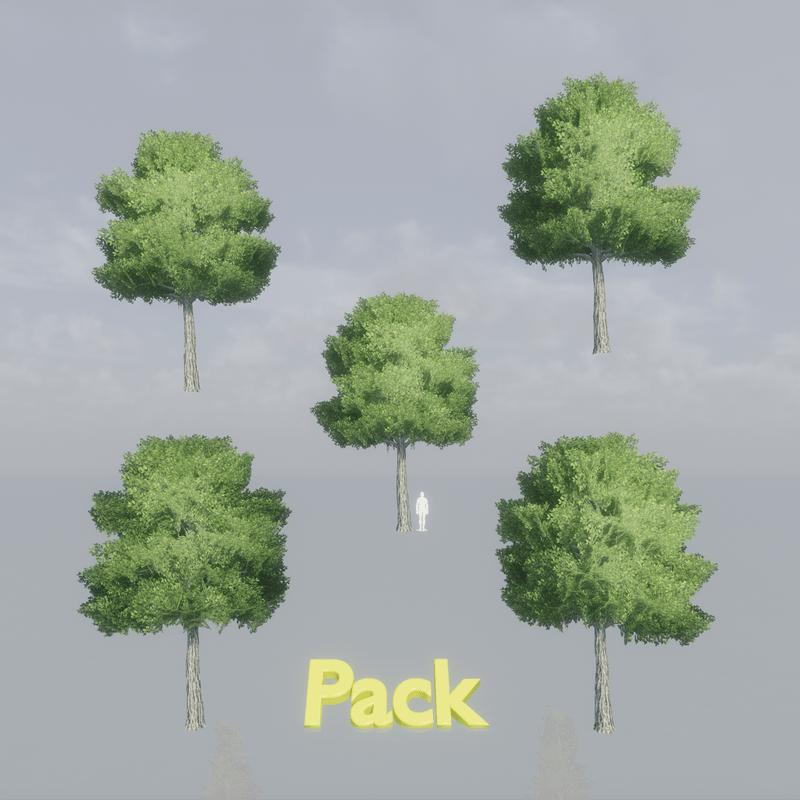 Oak Tree Pack