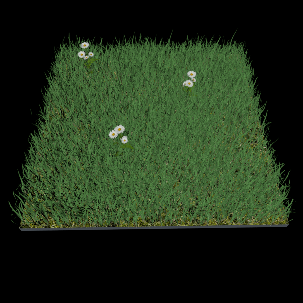 quader grass