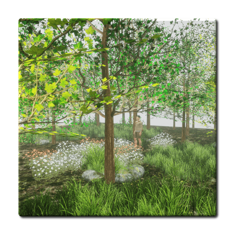 Maple Forest In One Object