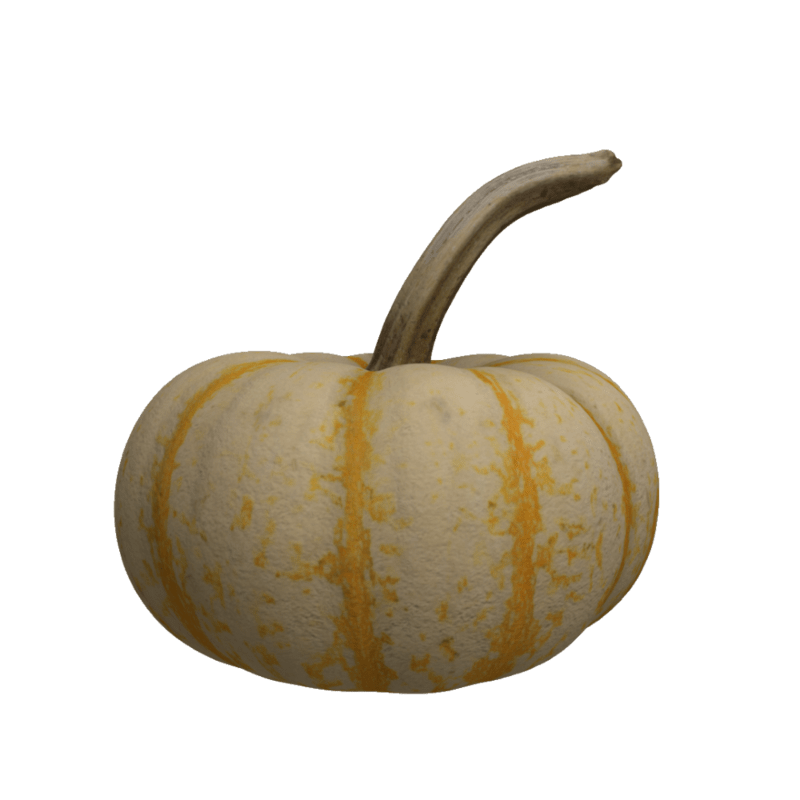 Pumpkin B