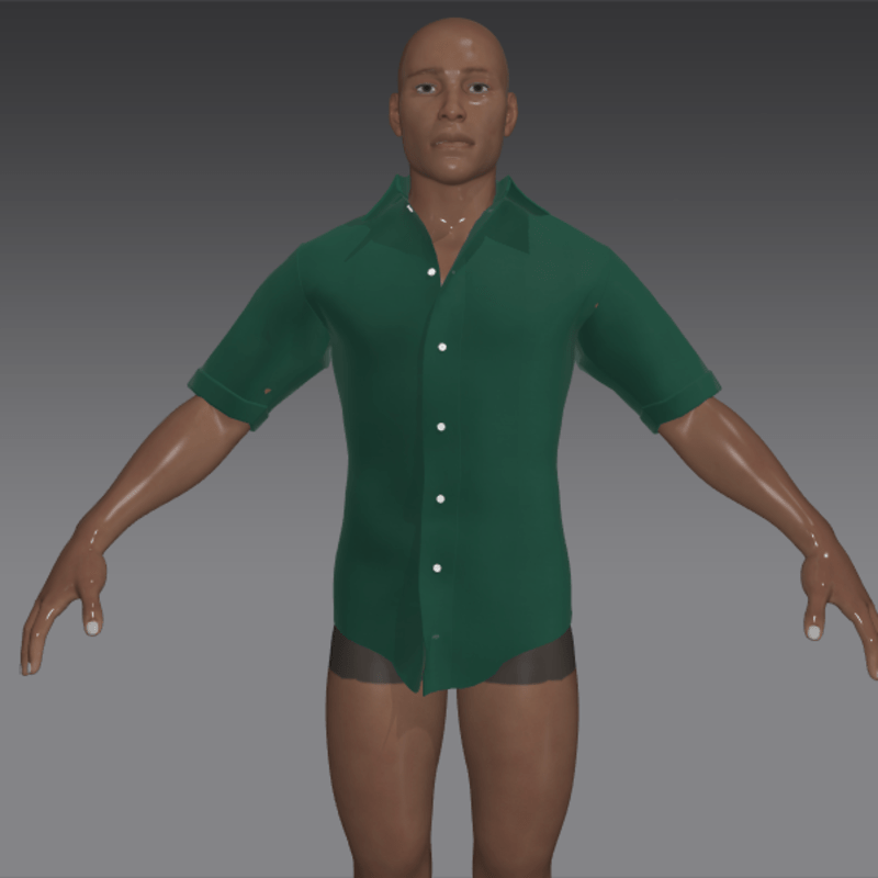 forest cotton batiste shirt