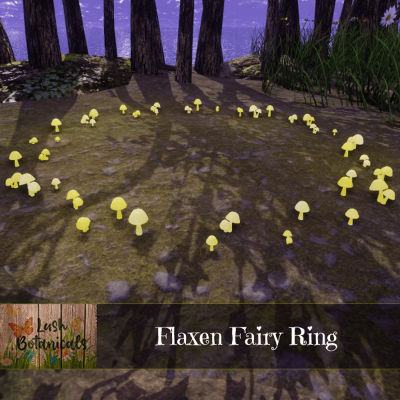Flaxen Fairy Ring