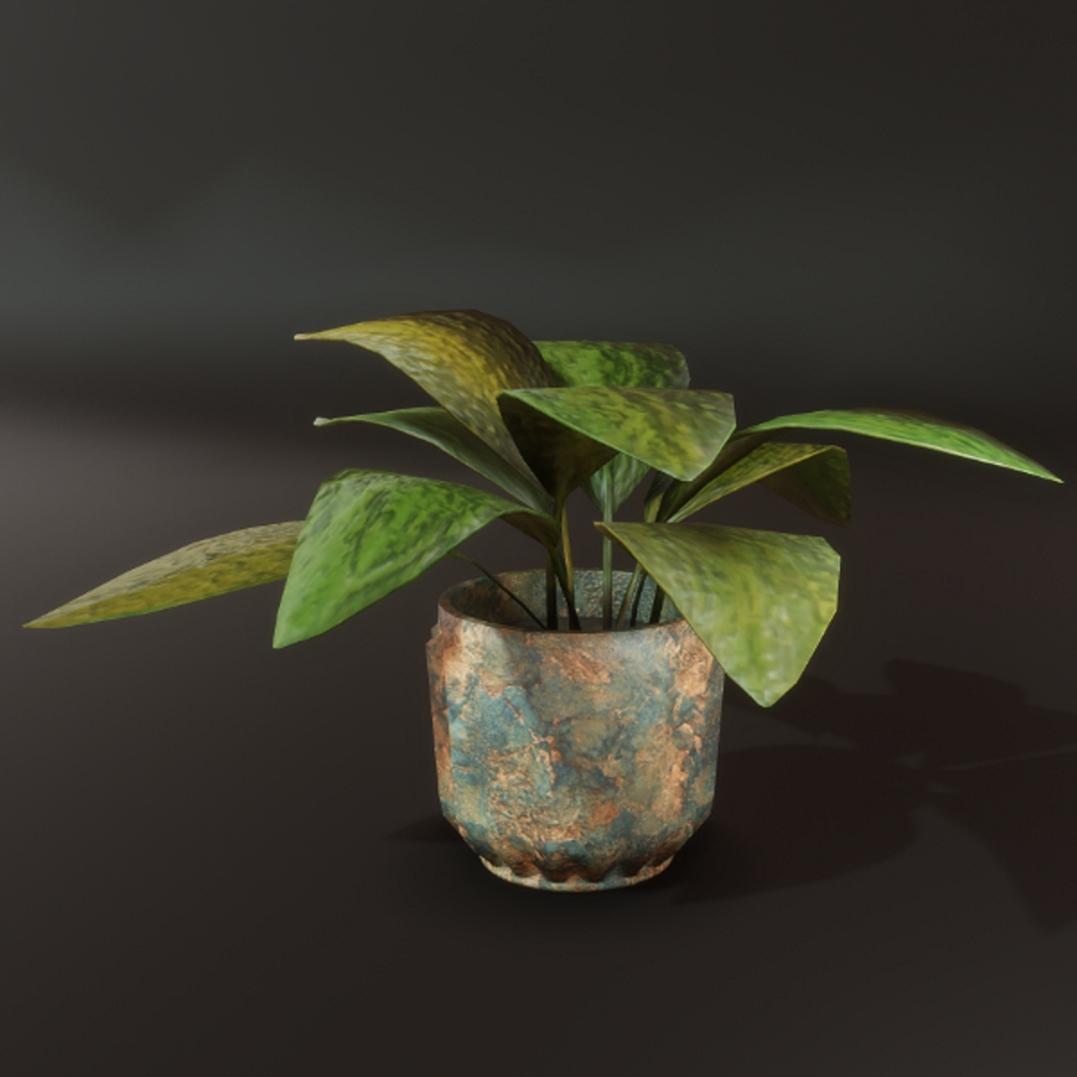 Colorful plants in metal container