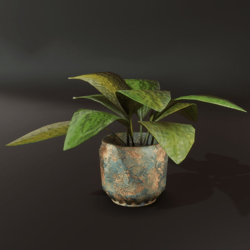 Colorful plants in metal container