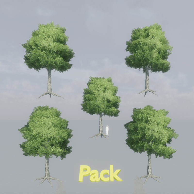 Oak Tree Pack - with roots