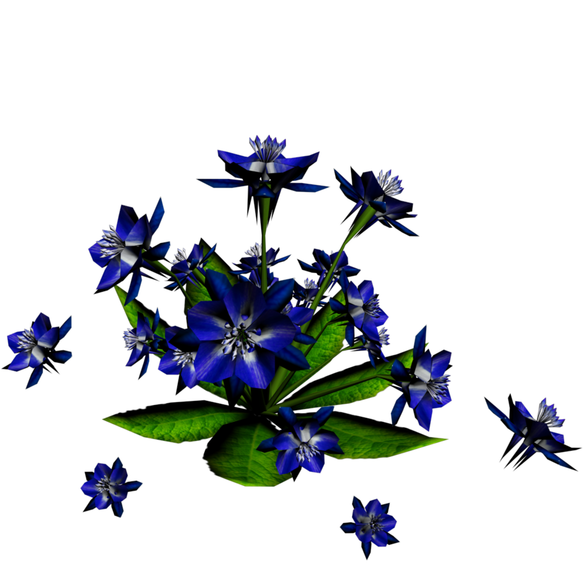 Columbine Plant 5