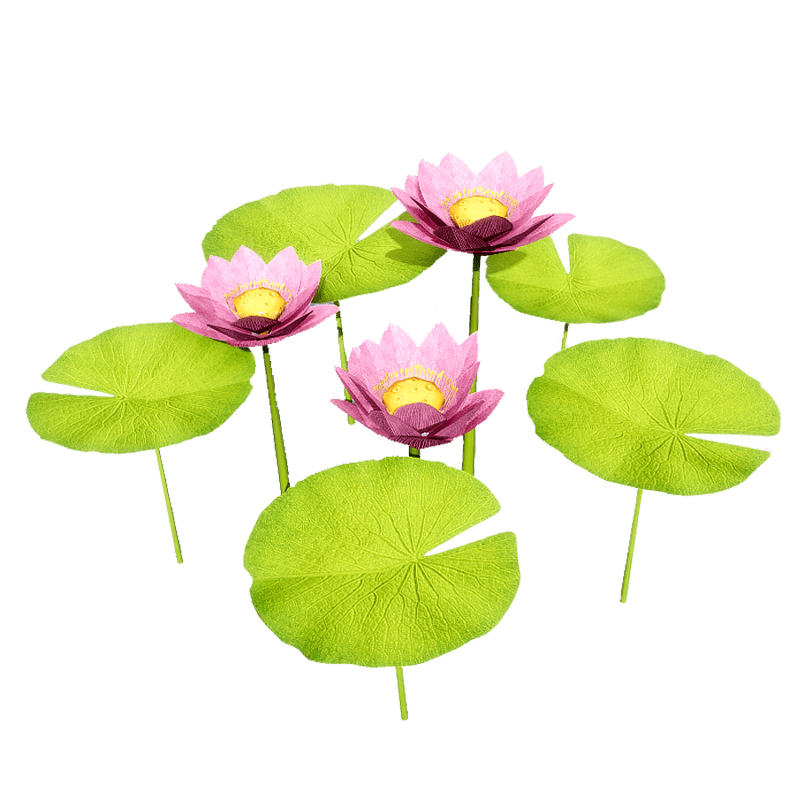 Lotus