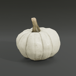 Mini Pumpkin - White