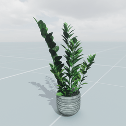 Pot Plant Small 1