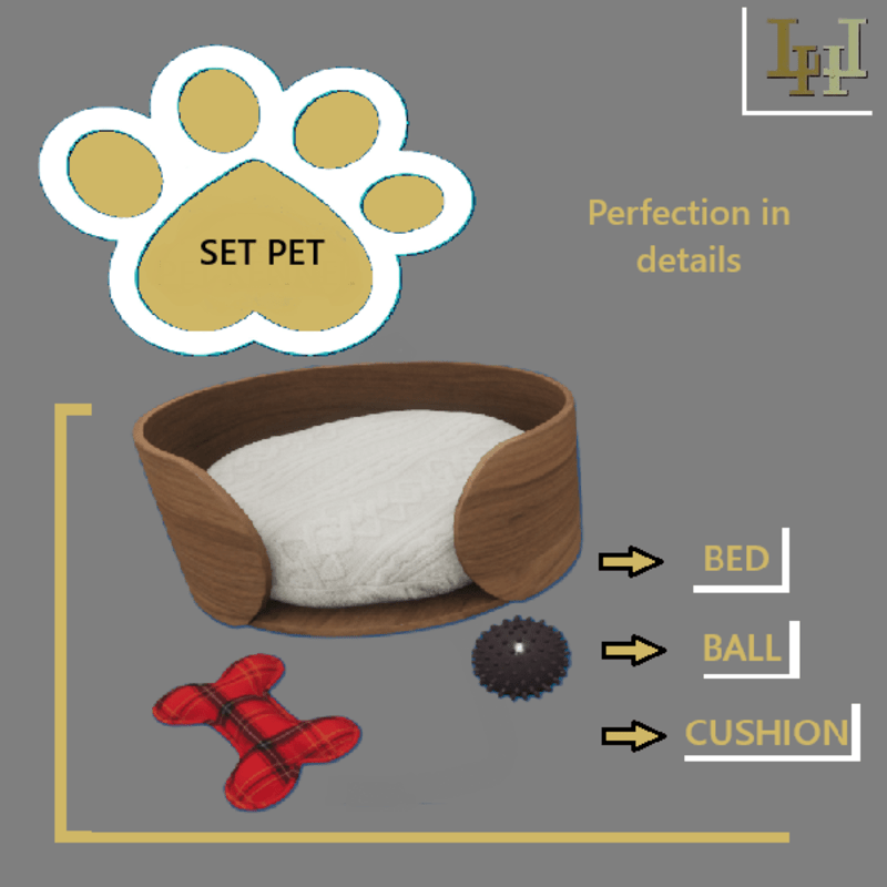 Set pet Teddy