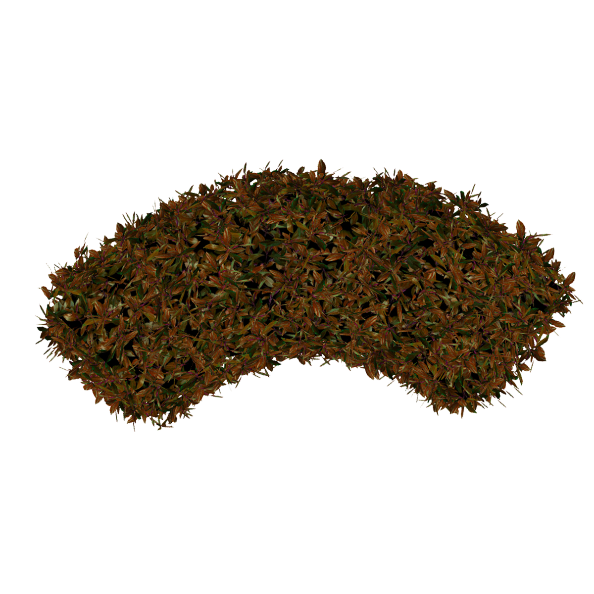 Hedge Curved- Copper