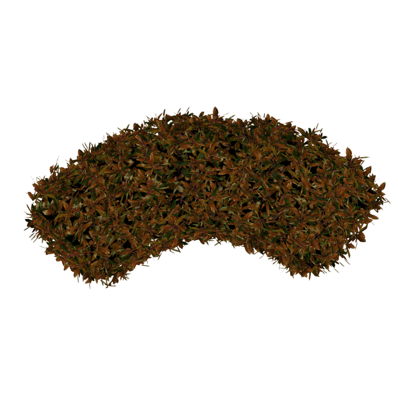 Hedge Curved- Copper