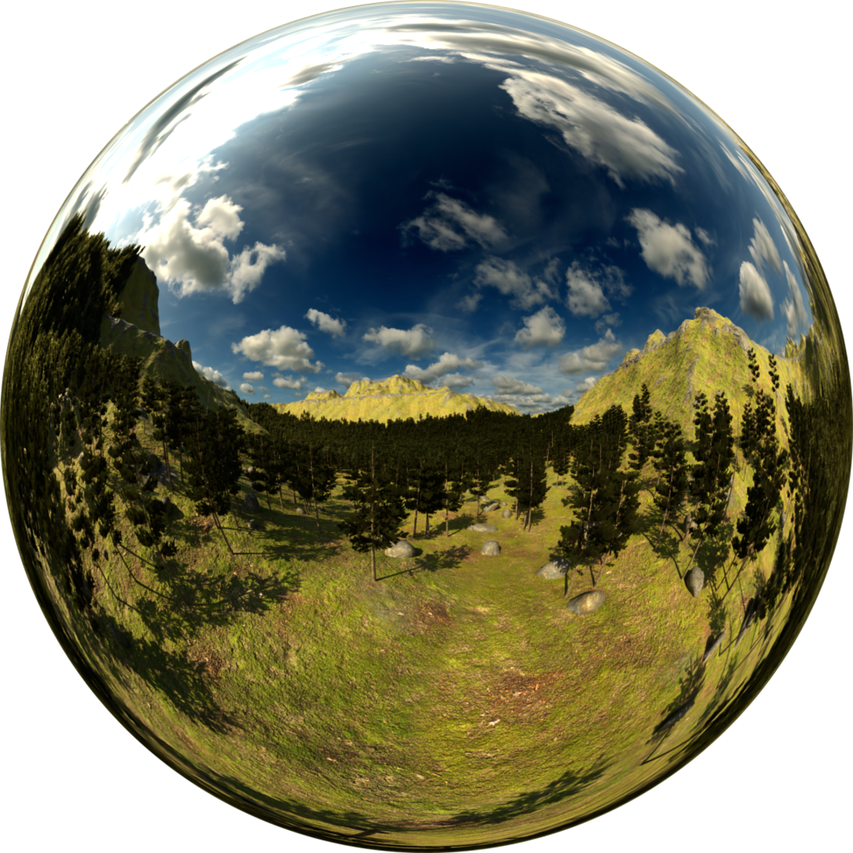 Pine Forest Top Skybox