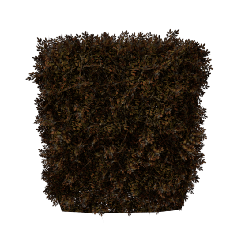 Hedge Straight 2x3 (Dead)