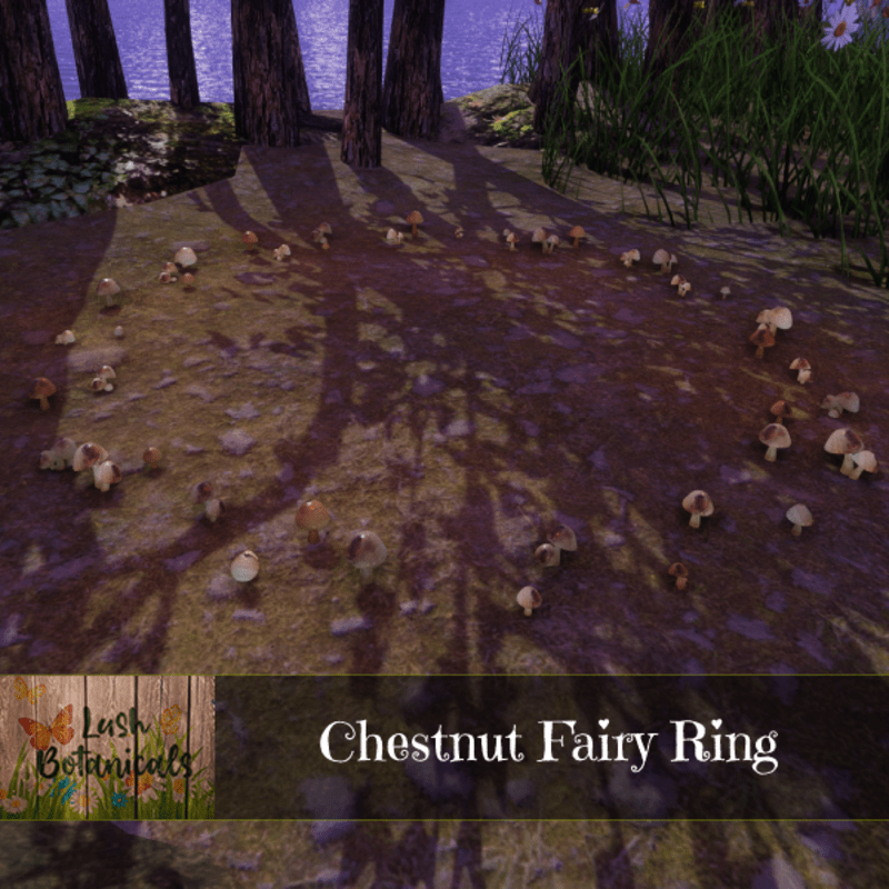Chestnut Fairy Ring
