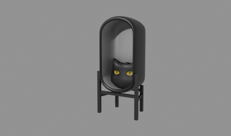 Chair Eyes Cat