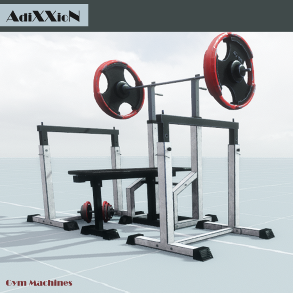 AdiXXioN Gym Body Tone
