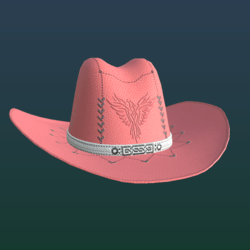 COWBOY_ HAT_ J (ALL_ FOR_ COWBOY_)