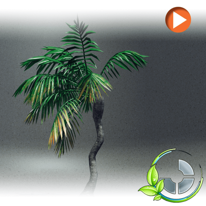 Animated Palm- Twisted Sister 1