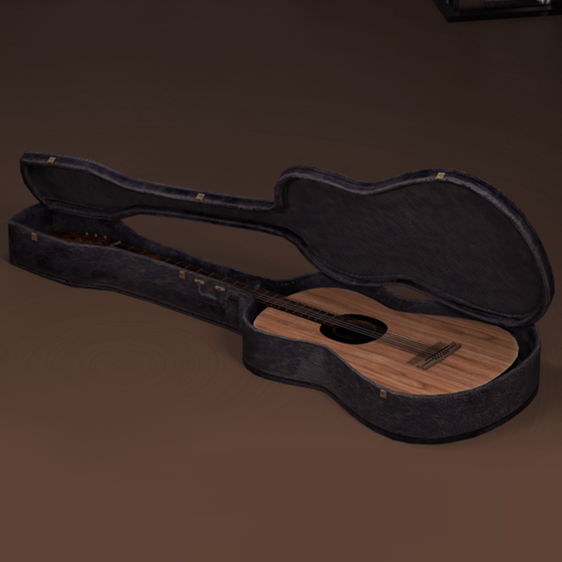 Acoustic Guitar In Case