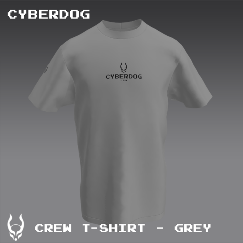 CREW T-SHIRT GREY
