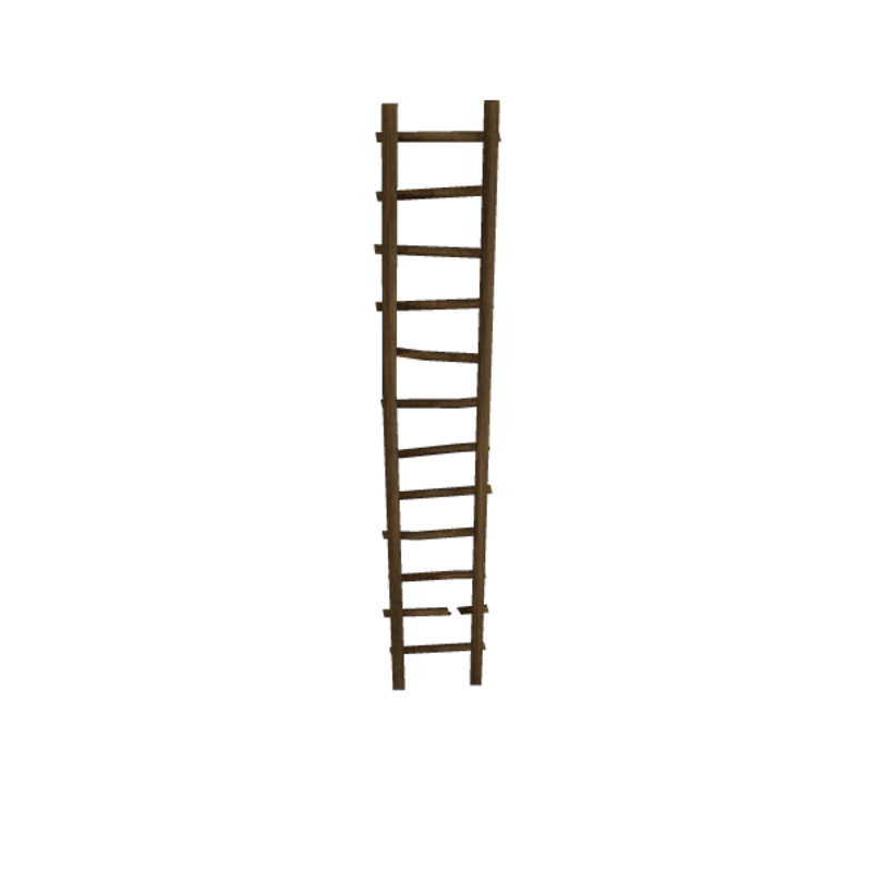 Old Ranch Ladder