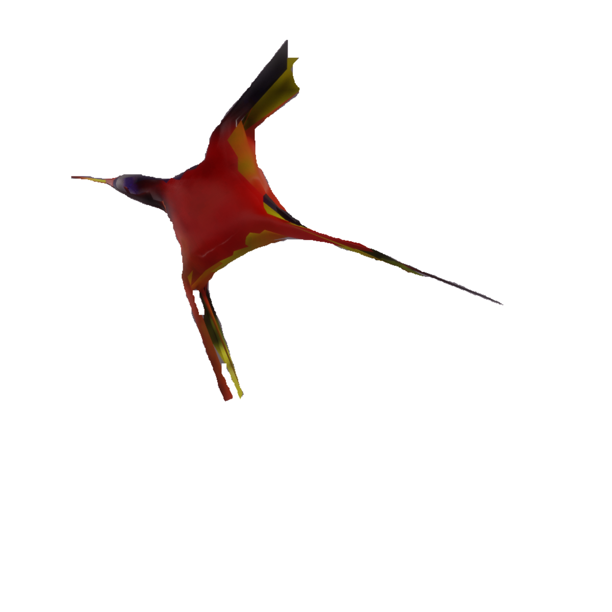 Multi Coloured Tropical Bird