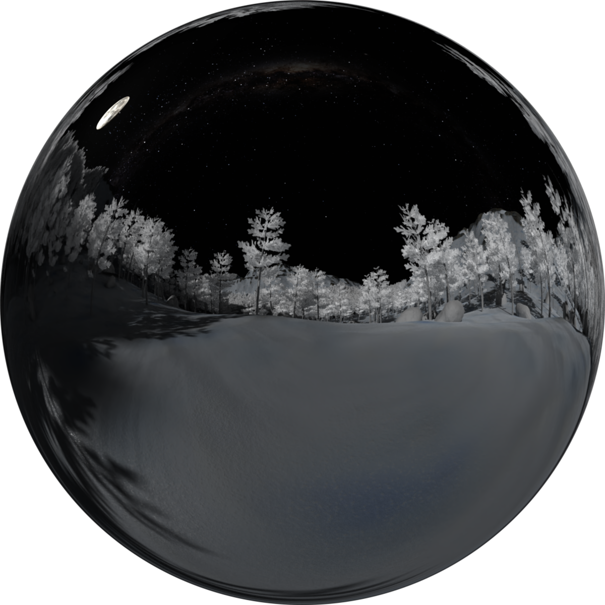 Pine Forest Ground Night Snow