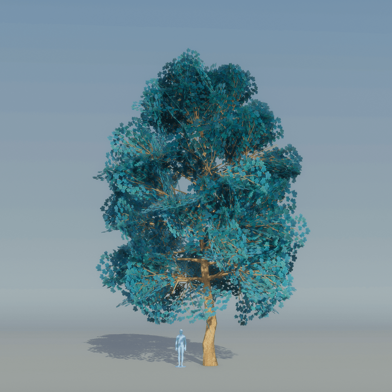 Maple Tree Blue 3