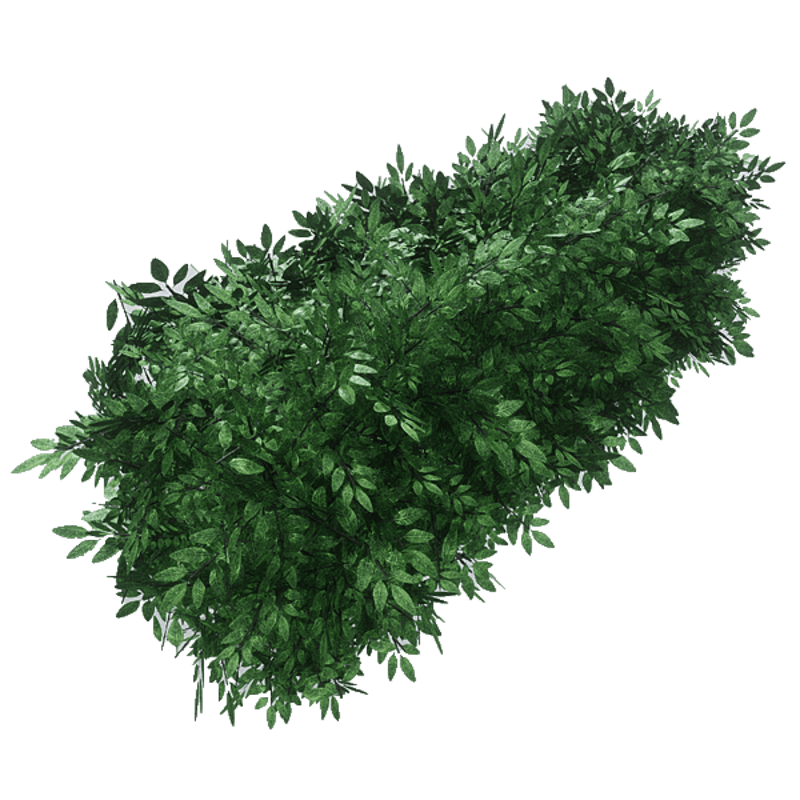 Hedge topiary bush