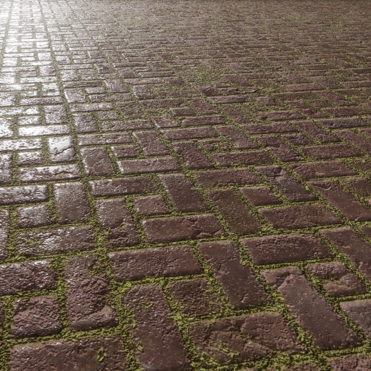 Pavement Floor Stone 1