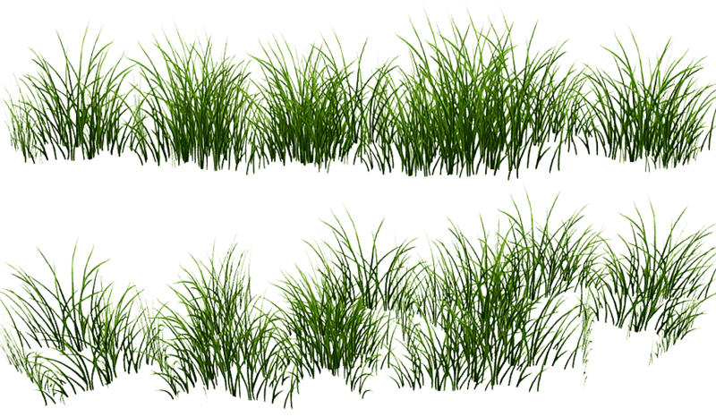 Grass border