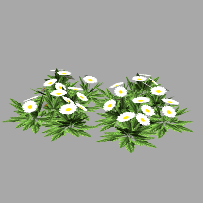 Daisies - low poly plant