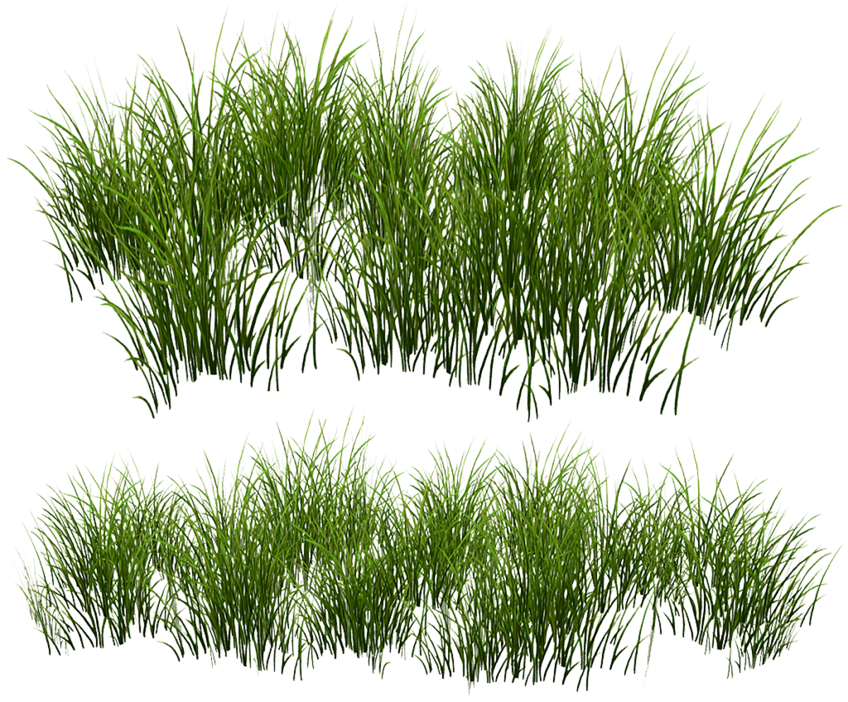 Grass Patch -Oval v2