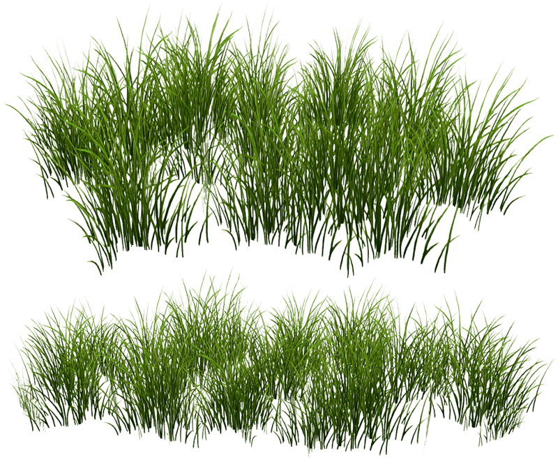 Grass Patch -Oval v2