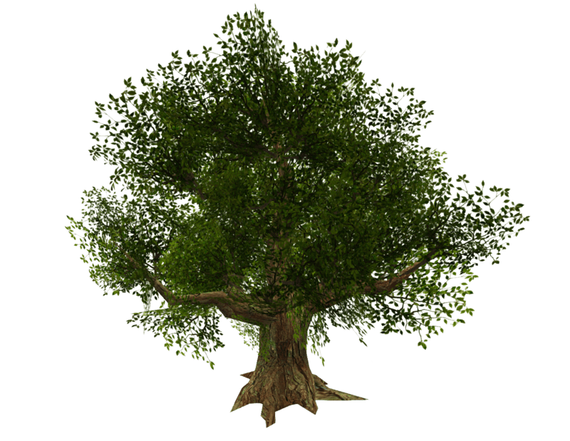 Tree Wide - Dark Green