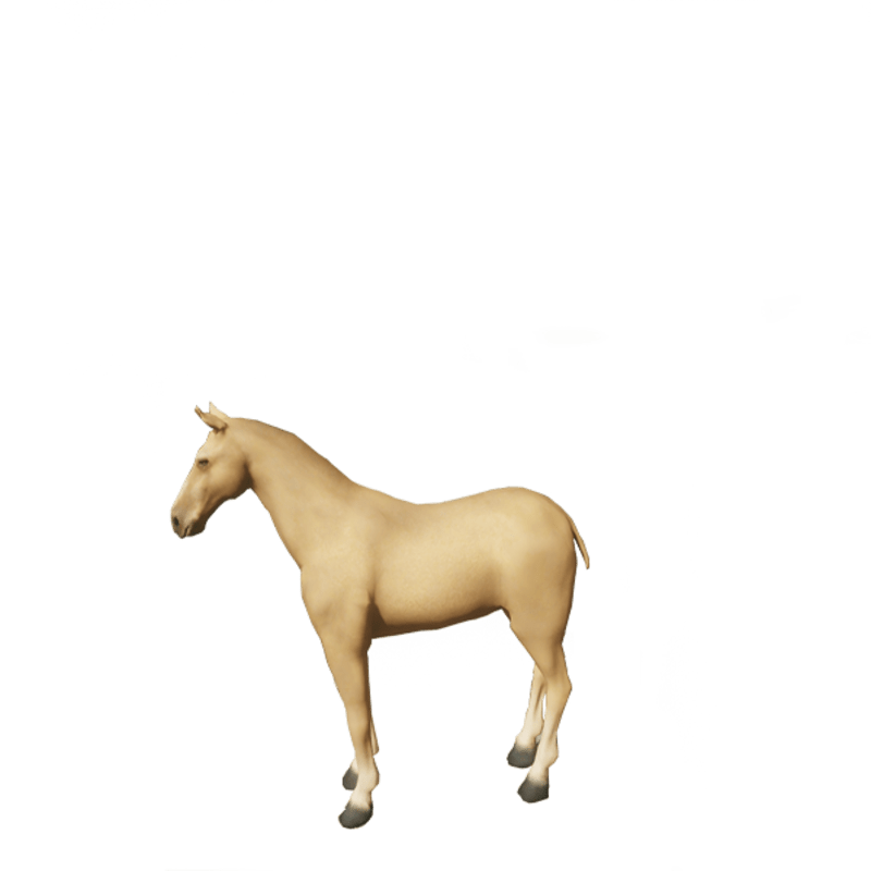 horse