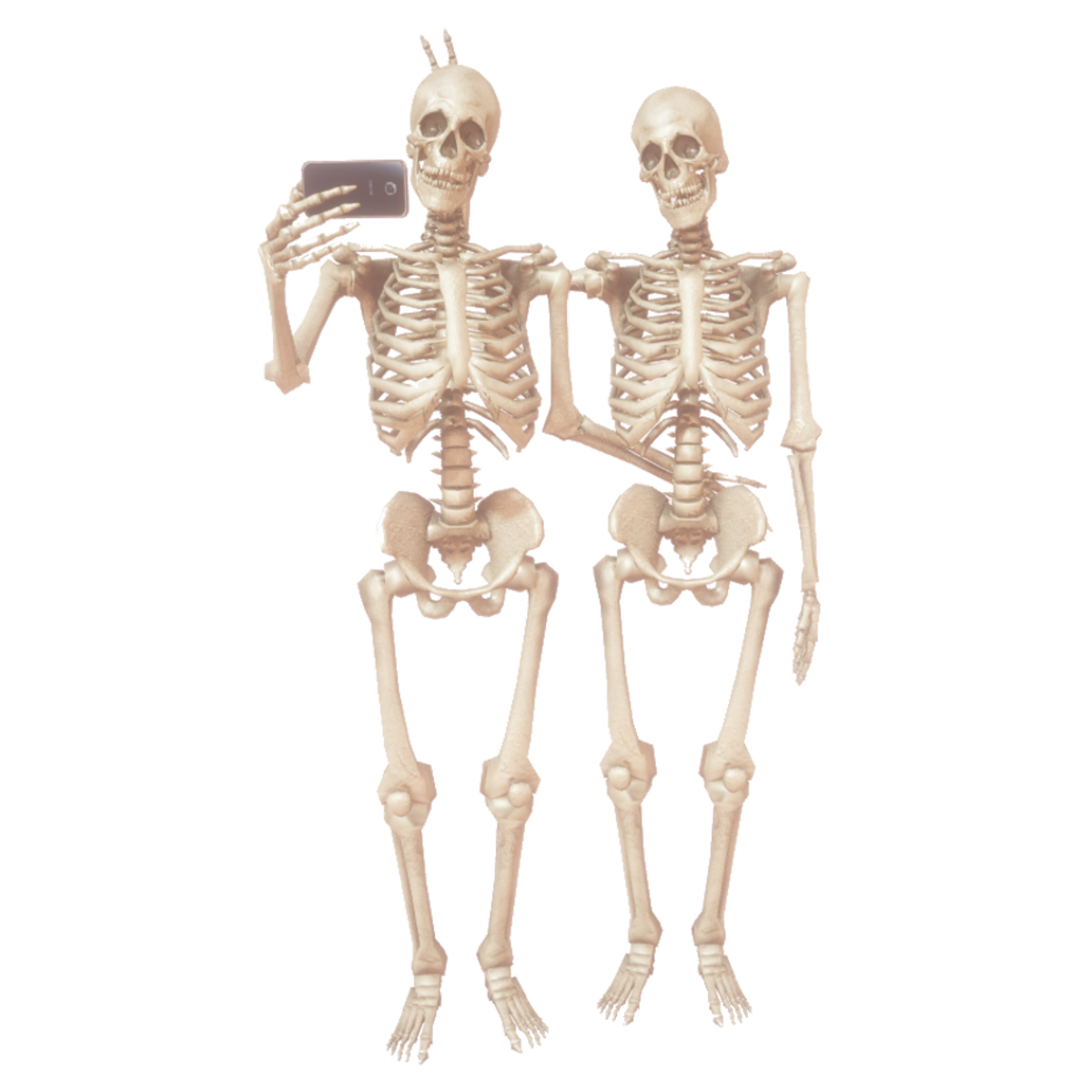 Skeleton Selfie anim