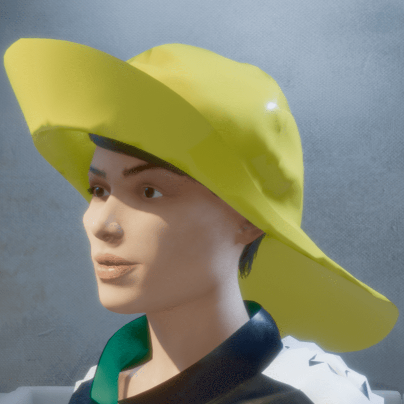 Suedwester / south Wester