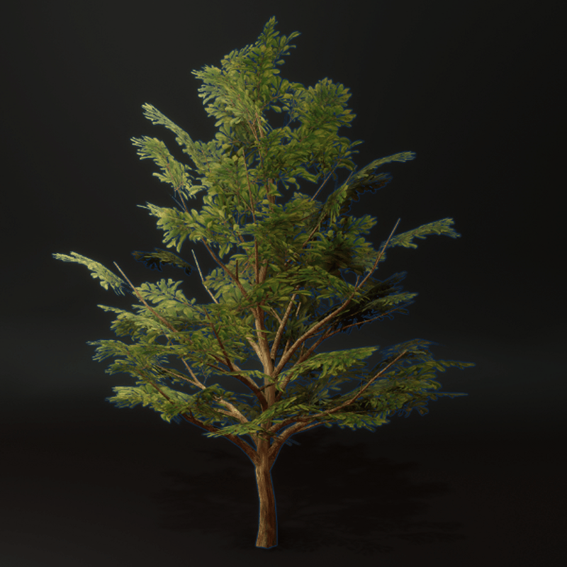 Dark Green Leafed Tree