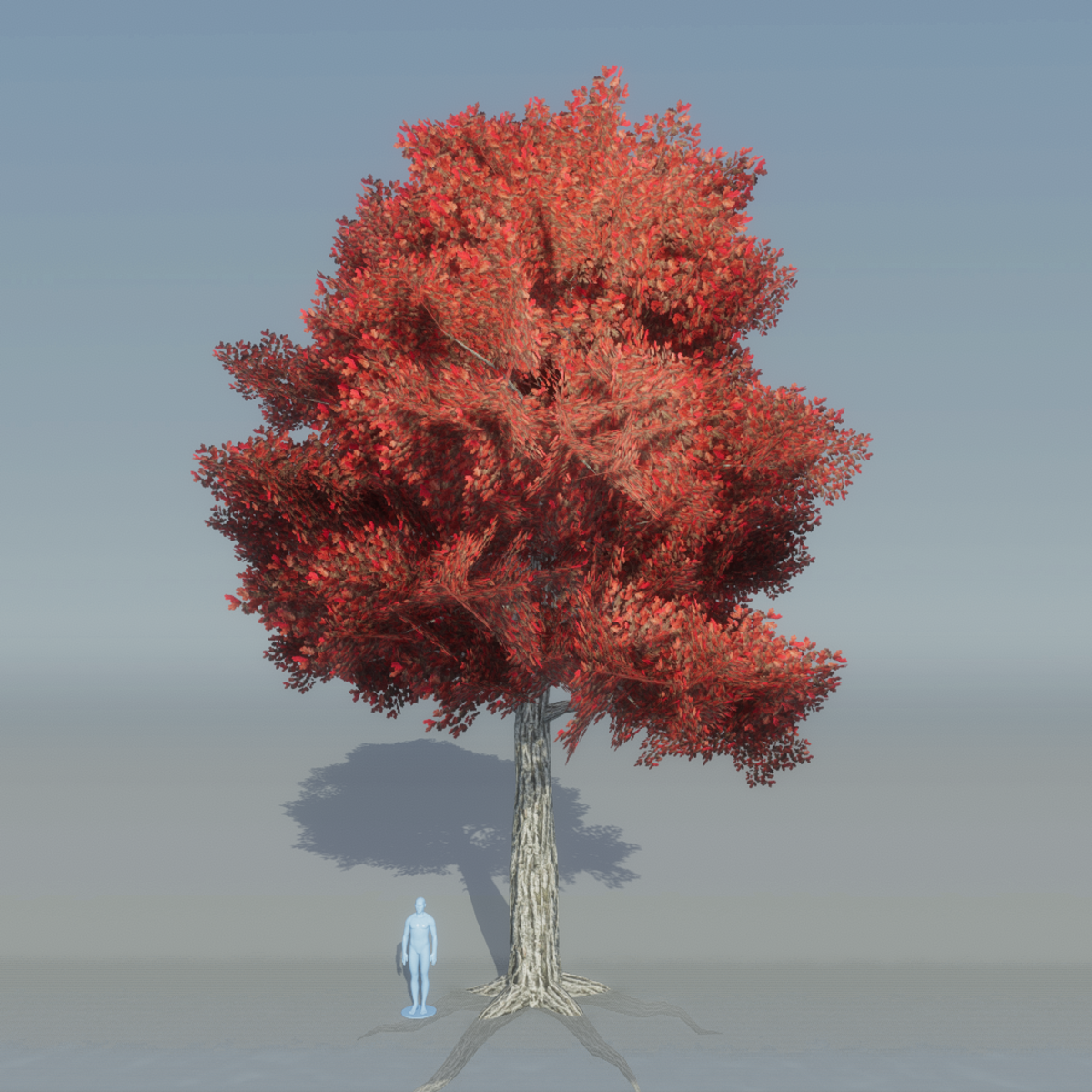 Oak Tree 2 with roots (red)