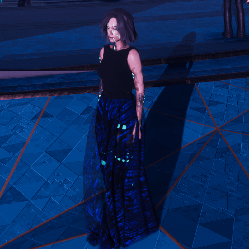 sheer digi print skirt