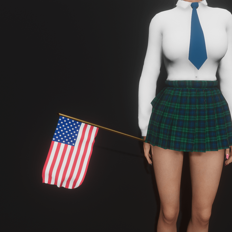 American Flag (Handheld)