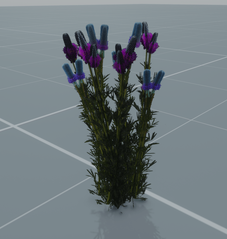 Purple Prairie Clover