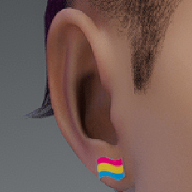 pride earrings pansexual